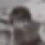 Profilbild von Brigitte Zorn