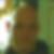Profilbild von René Kühne