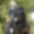 Profilbild von Kerstin Klabuhn