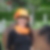 Profilbild von Kerstin Albers