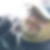 Profilbild von Ralf Lengers