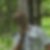 Profilbild von Roland Lindenzweig
