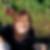 Profilbild von Andrea Madlener