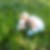 Profilbild von Brigitte Ridder