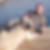 Profilbild von Peter Frei