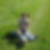 Profilbild von Birgit Rathmacher