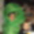 Profilbild von Paddel Friese