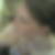 Profilbild von Pamela Young