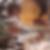 Profilbild von Hans Martin Just