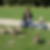 Profilbild von Sandy Prosch