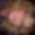 Profilbild von Denise Hocks