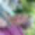 Profilbild von Susanne Geuenich