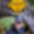Profilbild von Daniel Vogel
