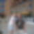 Profilbild von Detlef Temp