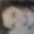 Profilbild von Annette Klose