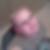 Profilbild von Steven Hoppe
