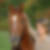 Profilbild von Susanne Stewart