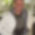 Profilbild von Thomas Knocke