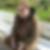 Profilbild von Thomas Kluthe