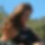 Profilbild von Silke Hohmann