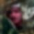 Profilbild von Michael Lorenz