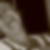 Profilbild von Sylvia Diels