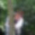 Profilbild von Elke Blaschke