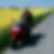 Profilbild von Holger Nix