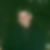Profilbild von Thomas Nofz