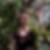 Profilbild von Jacqueline Voigt