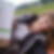 Profilbild von Anke Strick