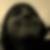 Profilbild von Jennifer Schulte