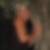 Profilbild von Jessica Clarus