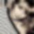Profilbild von Alexandra Bestvater