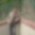 Profilbild von Jens Hinderks