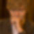 Profilbild von Willy Prof. Dr. Theobald