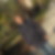 Profilbild von Michael Horn