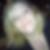 Profilbild von Melanie Sollorz