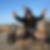 Profilbild von Tim Mandelartz