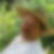 Profilbild von Holger Gräfe