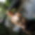Profilbild von Janine Bose