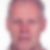 Profilbild von Dieter Krüger