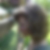 Profilbild von Eva Baskan