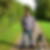 Profilbild von Hans-Joachim Pohl