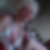 Profilbild von Kerstin Helmrich