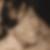Profilbild von Andrea Paul
