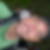 Profilbild von Sven Kindt