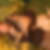 Profilbild von Ralph Maslowski