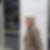 Profilbild von Sylvia Asthoff