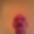Profilbild von Karlheinz Hass